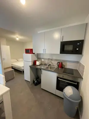 Cuisine ou kitchenette dans l'établissement Apartment with terrace and barbecue Hyper center