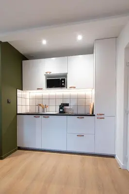 Cuisine ou kitchenette dans l'établissement Résidence Mariotte - Le vert Kaki - Appartement Indépendant
