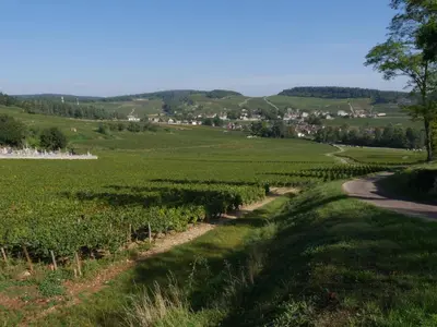 Paysage naturel près de l'appartement
