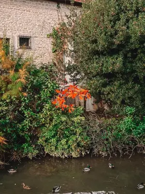 Paysage naturel près de l'appartement