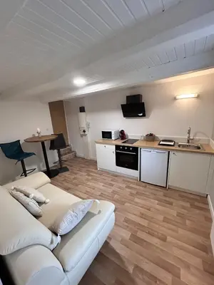 Cuisine ou kitchenette dans l'établissement Le petit cocon