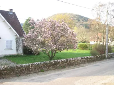 Paysage naturel près de l'appartement