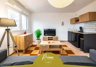 Télévision ou salle de divertissement dans l'établissement Studio Le Chicago - By Primo Dijon