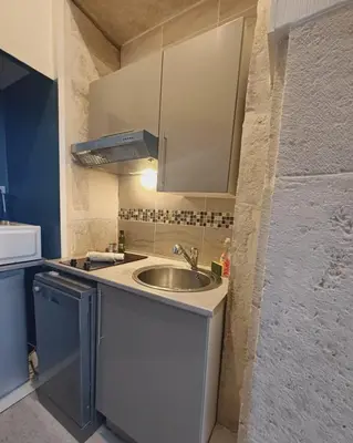 Cuisine ou kitchenette dans l'établissement Le Royal Dijonnais - Centre Ville