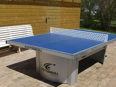 Tennis de table au sein de l'établissement Mobil-home 2 pers avec terrasse - API-1-52-1054 ou à proximité