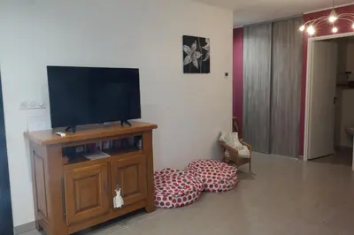 Télévision ou salle de divertissement dans l'établissement Grand studio au cœur du vignoble, Leynes