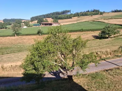 Paysage naturel près de la maison de vacances