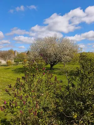 Paysage naturel près de l'appartement