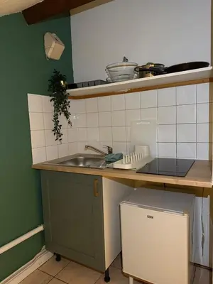 Cuisine ou kitchenette dans l'établissement Dijon center cozy apartment - private parking