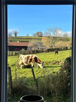 Animaux dans la maison de vacances ou à proximité
