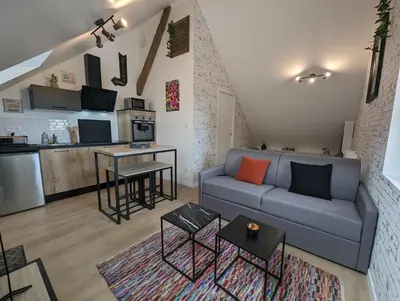 Cuisine ou kitchenette dans l'établissement Le Studio Neo-Retro