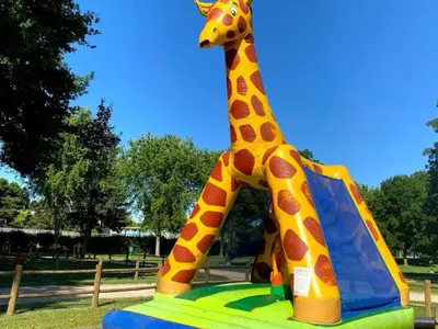 Aire de jeux pour enfants de l'établissement Mobil-home confortable avec terrasse pour 4 personnes à Athée - API-1-52-1366