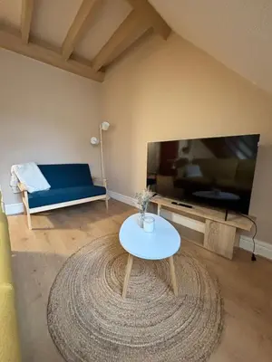 Télévision ou salle de divertissement dans l'établissement La Reception des Ducs - Dijon Centre Historique