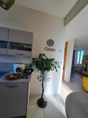 Cuisine ou kitchenette dans l'établissement Grand Duplex spacieux en maison de ville