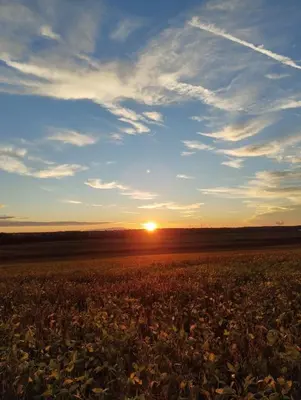 Lever ou coucher de soleil vu de la maison de vacances ou à proximité