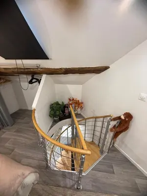 Plan de l'établissement Appartement spacieux, au cœur de la ville 40 m