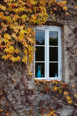 Plan de l'établissement Moulin Renaudiots - Escapade Luxe Refuge cosy & Bourgogne au coin du feu