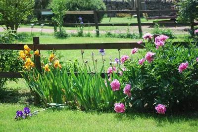 Jardin de l'établissement Chambre D' Hotes Des Collines