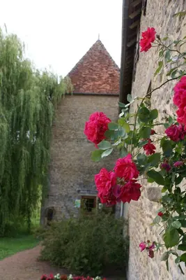 Jardin de l'établissement Chambre D' Hotes Des Collines