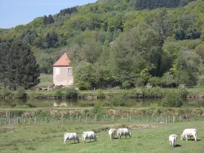 Paysage naturel près de l'hôtel