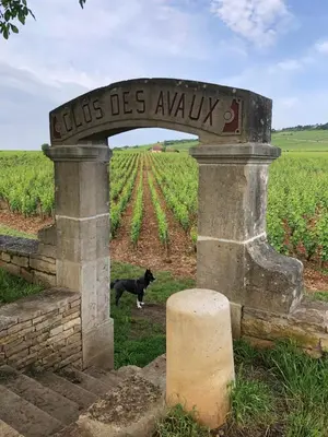 Plan de l'établissement la route des vins