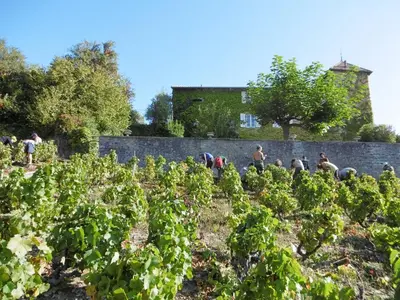 Clients de l'établissement Les Gîtes de La Fontaine