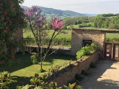 Paysage naturel près de le B&B/chambre d'hôtes