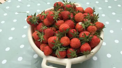 Nourriture dans la maison de vacances ou à proximité