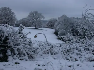 L'établissement Cottage 2 personnes en hiver