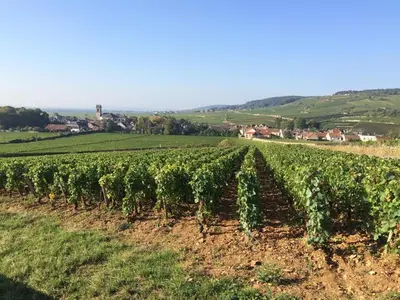 Paysage naturel près de l'appartement