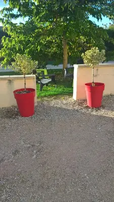 Jardin de l'établissement Gîte des Louchardes