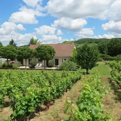 Les Vignes de Paris
