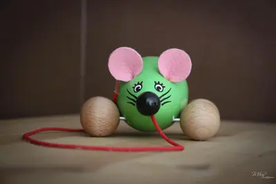 Plan de l'établissement Gîte De La Souris Verte