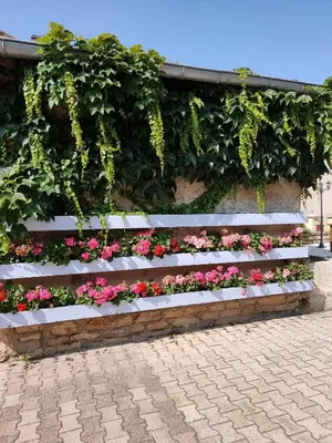 Jardin de l'établissement La ferme du Grand Faubourg