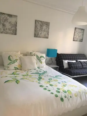 Un ou plusieurs lits dans un hébergement de l'établissement Le Jardin Darcy Liberté Hyper centre gare-ville parking public payant dans la rue