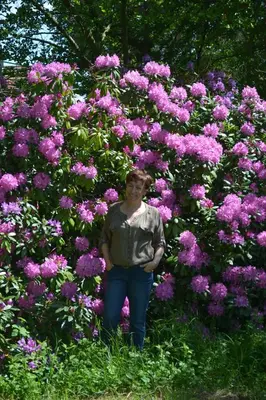 Jardin de l'établissement La Licorne
