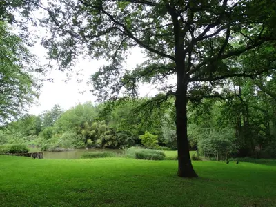 Jardin de l'établissement Chalets du pontot