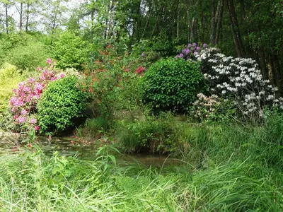 Jardin de l'établissement Chalets du pontot