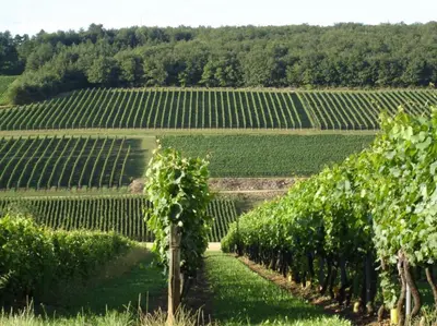 Plan de l'établissement Douce Nuits