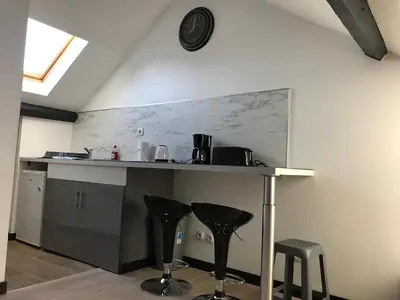 Cuisine ou kitchenette dans l'établissement Luxury Suite Lilas