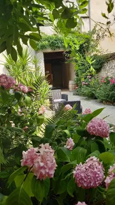 Jardin de l'établissement Hotel de la Halle