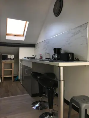 Cuisine ou kitchenette dans l'établissement Luxury Suite Lilas 4
