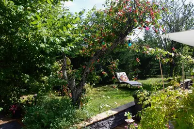 Jardin de l'établissement Particulier