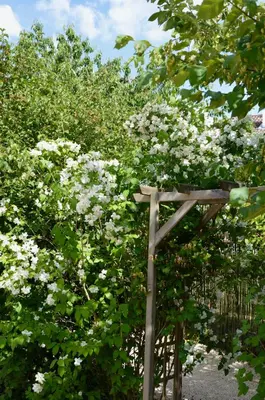 Jardin de l'établissement Particulier