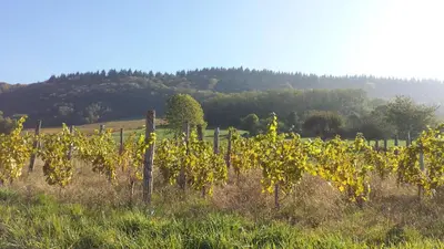 Paysage naturel près de l'appartement