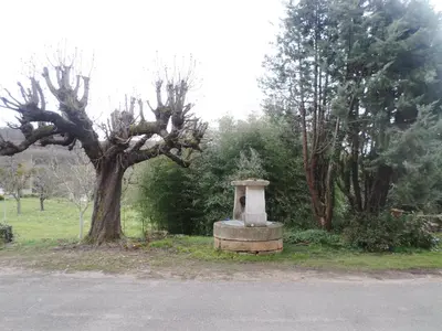 Jardin de l'établissement Les Marronniers