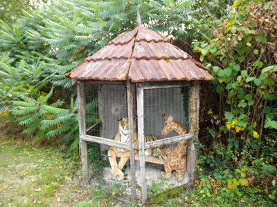 Jardin de l'établissement Maison du Moulin Galuzot