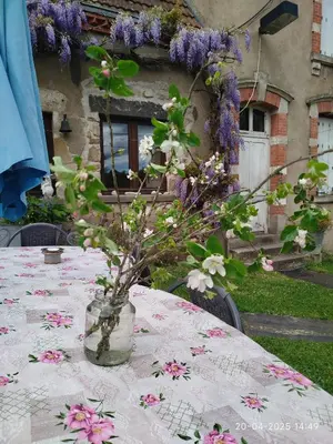 Jardin de l'établissement Maison du Moulin Galuzot