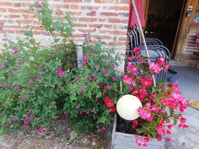 Jardin de l'établissement La Maison du Bonheur