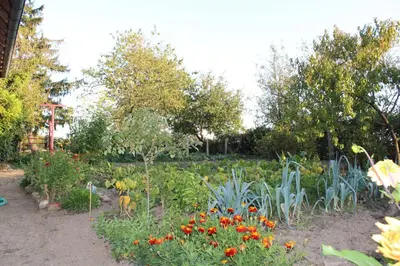 Jardin de l'établissement La Maison du Bonheur